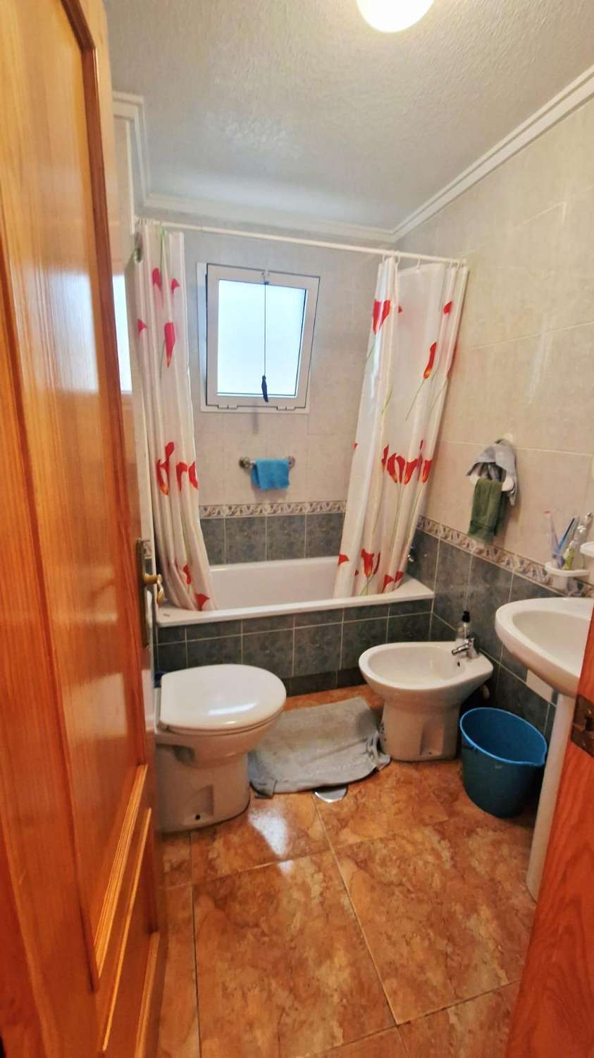 OPORTUNIDAD EN PLENO CENTRO DE TORREVIEJA