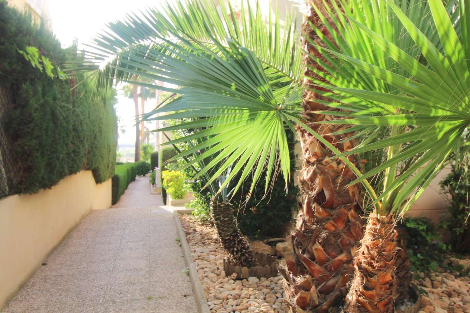 Flat for sale in La Veleta (Torrevieja)