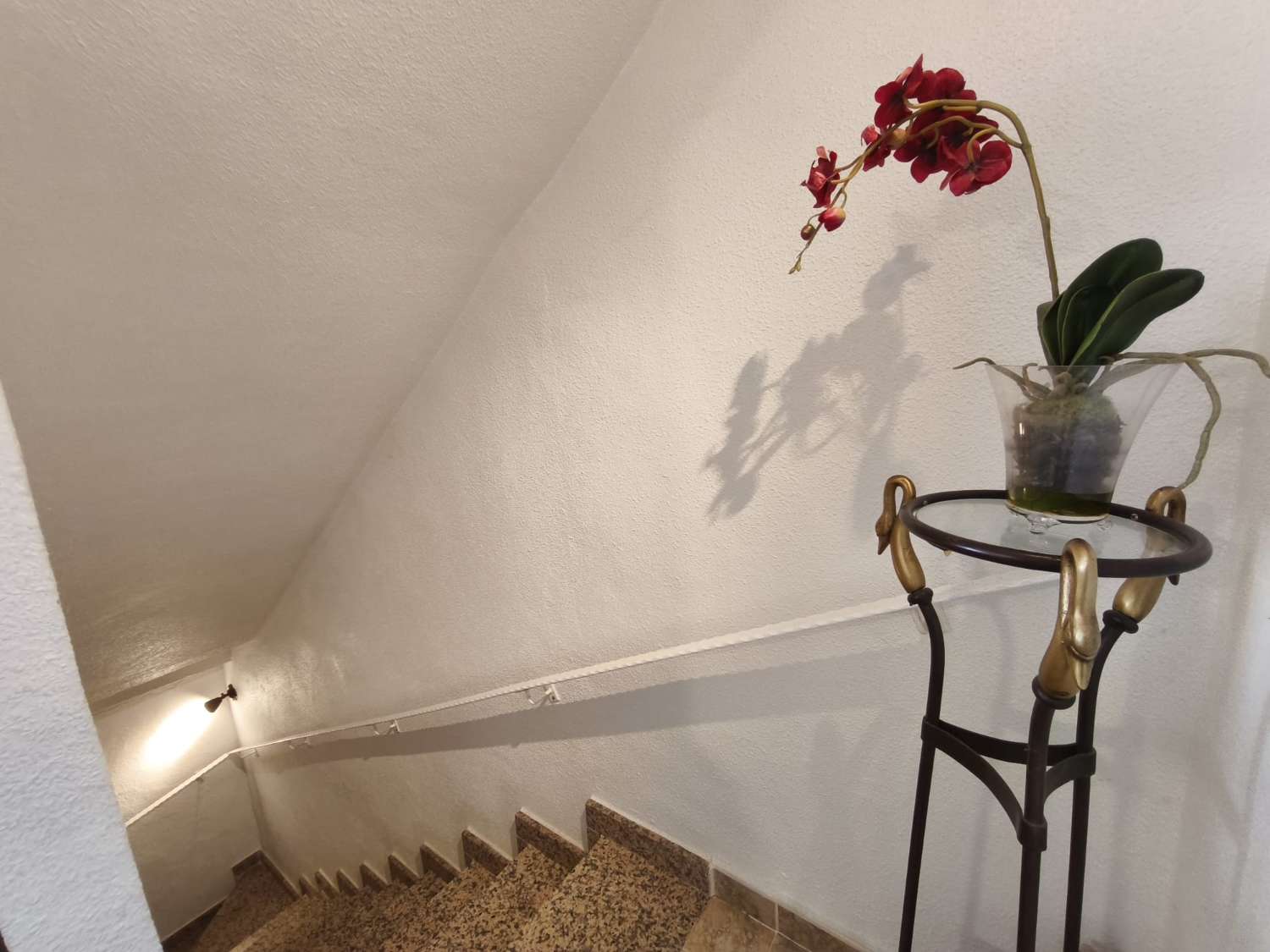 BUNGALOW COMPLETAMENTE REFORMADO